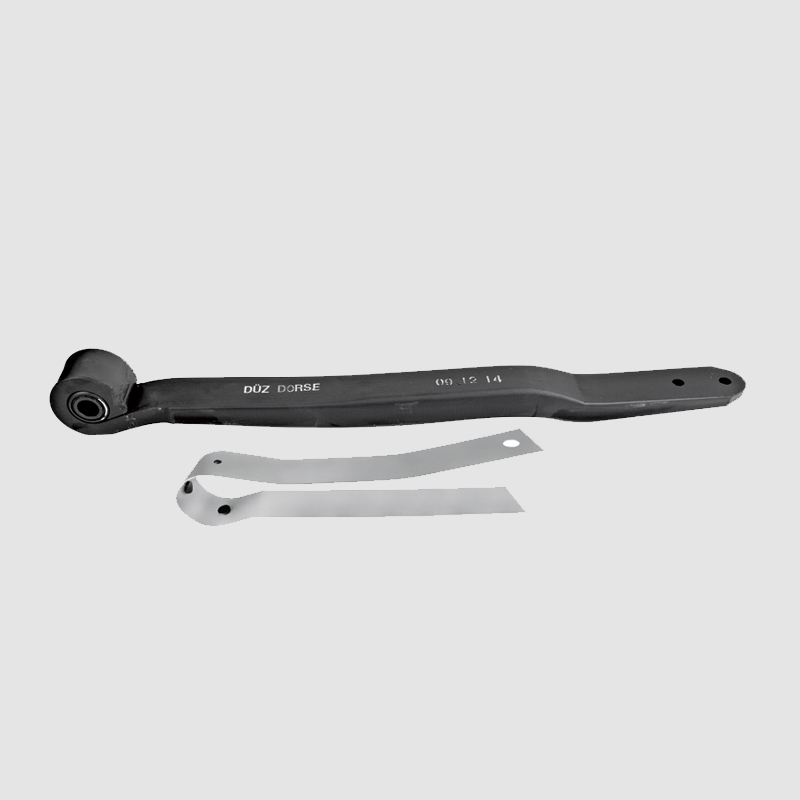 FLAT SPRING